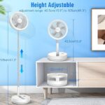Fan-11 - Image 10