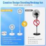 Fan-11 - Image 12
